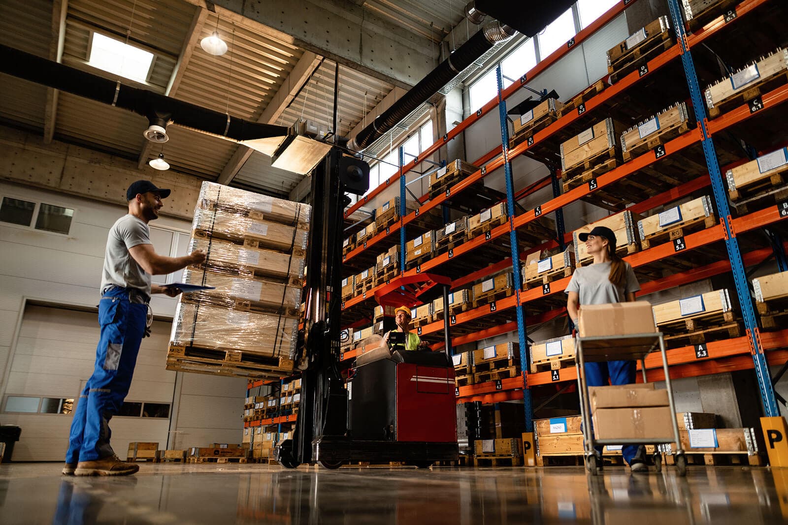 Retail & Wholesale Expertise